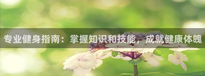 qy千亿体育登录入口