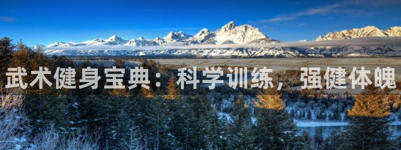 QY球友会官网